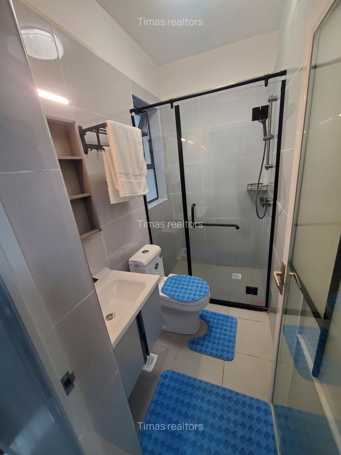 Studio Apartment with En Suite in Syokimau - 3