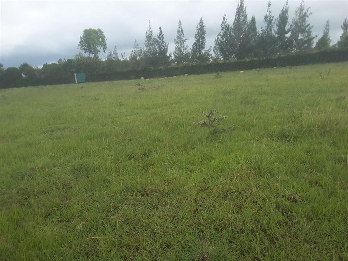 0.1 ac Residential Land in Ongata Rongai - 6