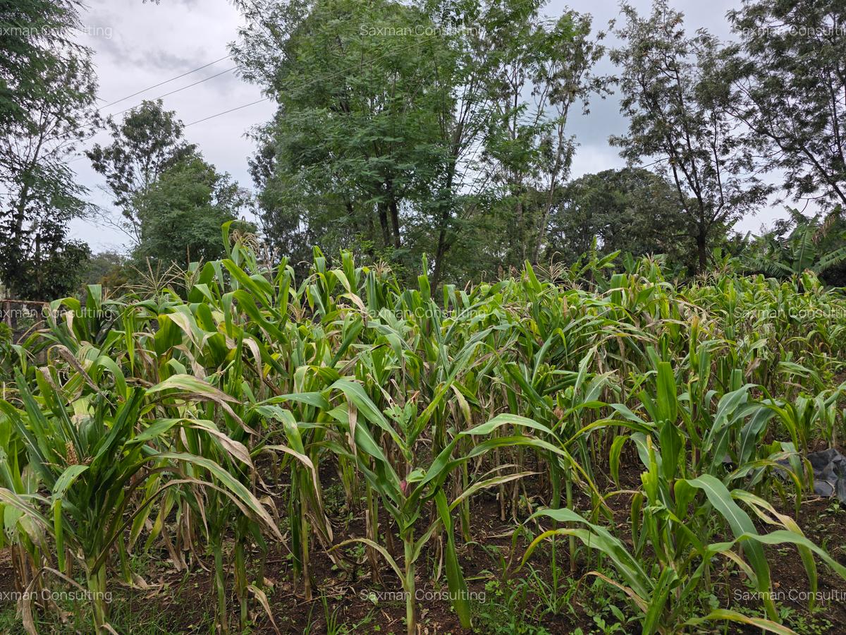 Residential Land in Karen - 6