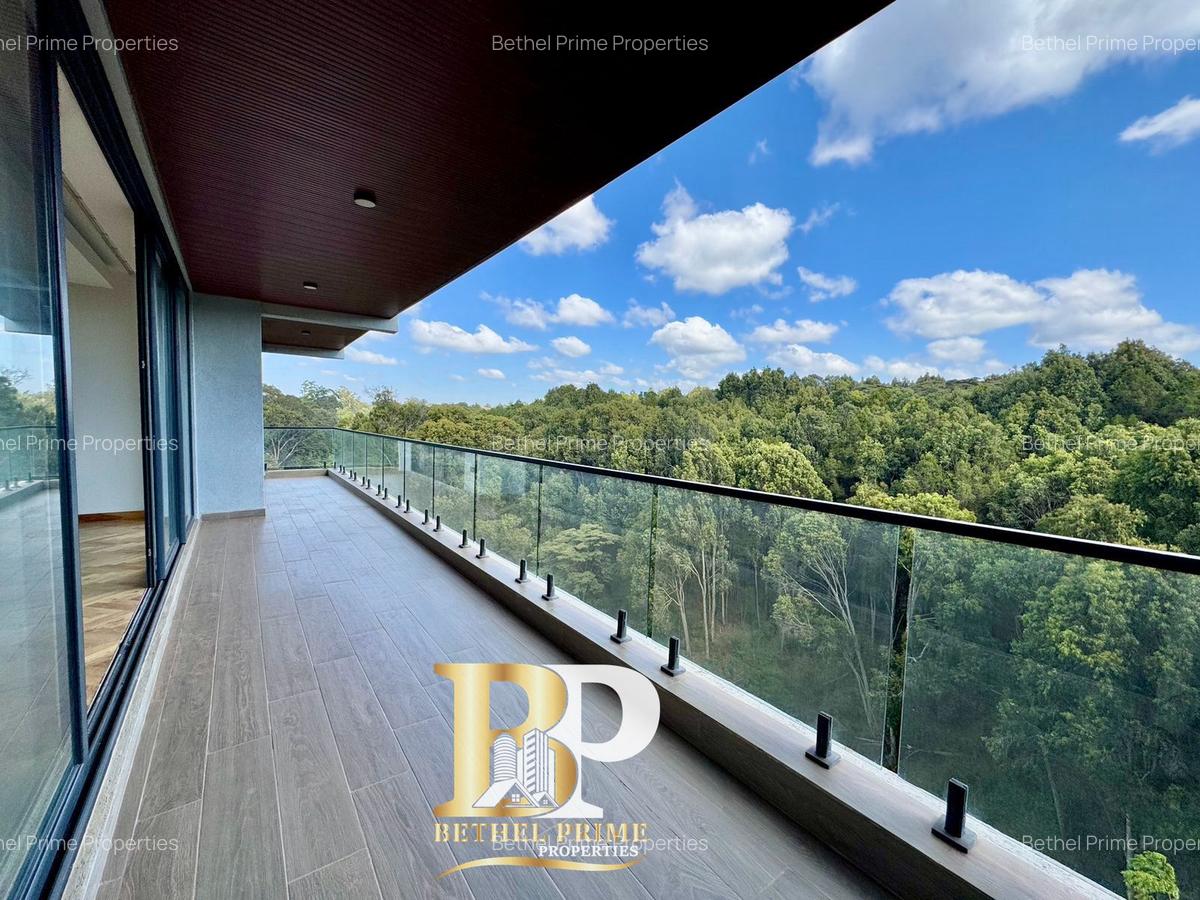 4 Bed Apartment with En Suite in Spring Valley - 2