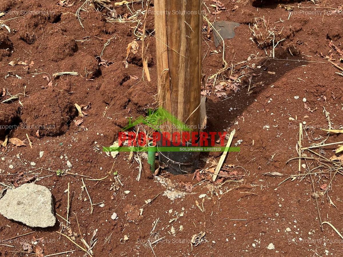 Commercial Land at Muthiga - 5