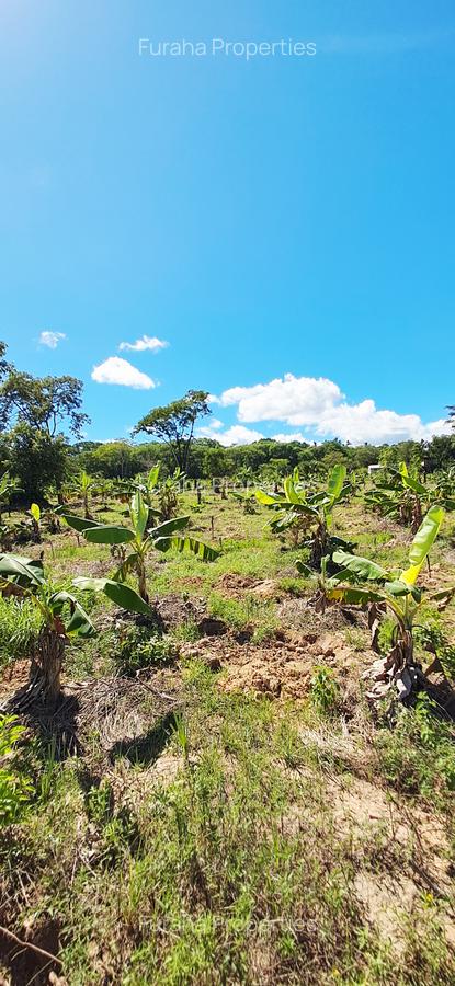 Land at Msambweni - 12