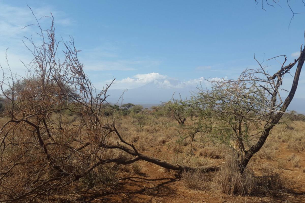 2,500,000 ac Land in Kajiado County - 6