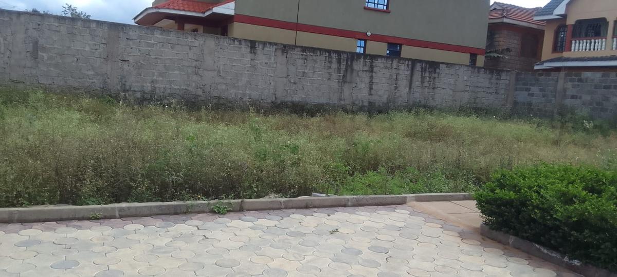 0.3 ha Residential Land in Kenyatta Road - 4