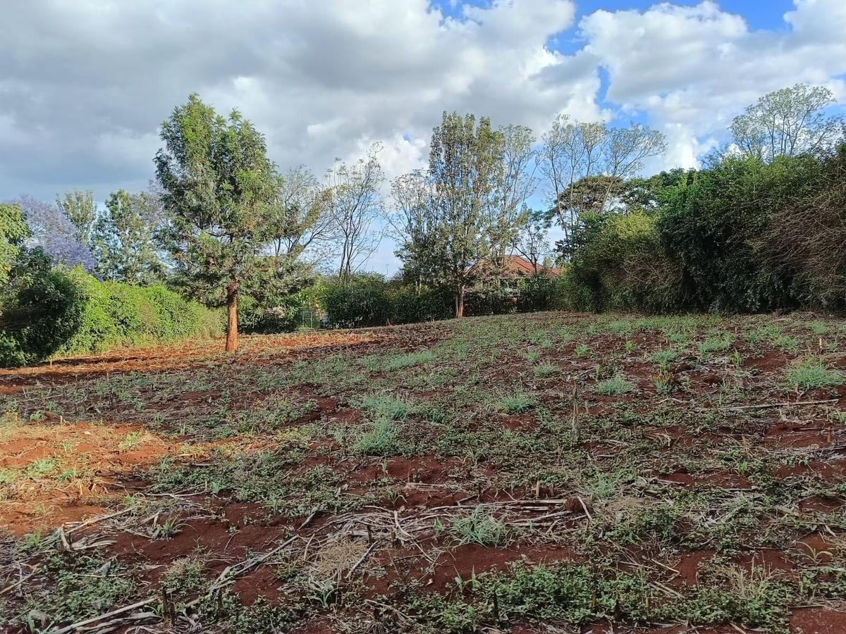 Residential Land at Kiukenda - 7