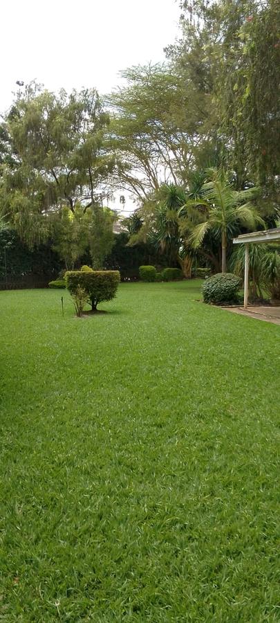 Land in Ngong Road - 1