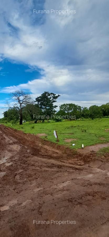 Land in Vipingo - 5