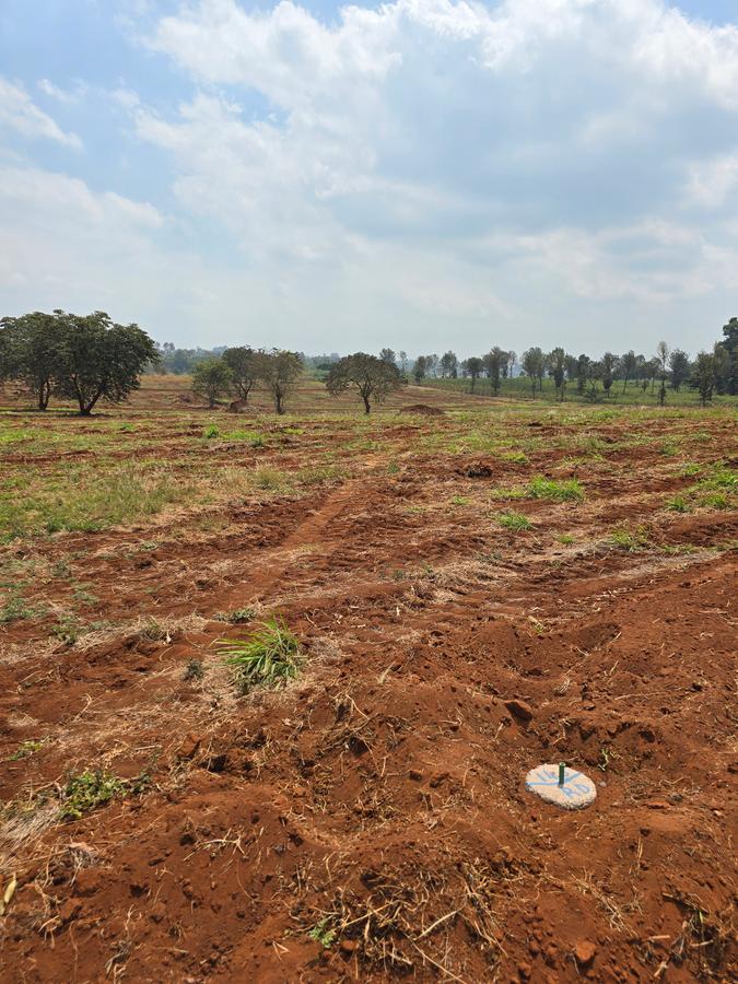 0.125 ac Residential Land in Kiambu Road - 2