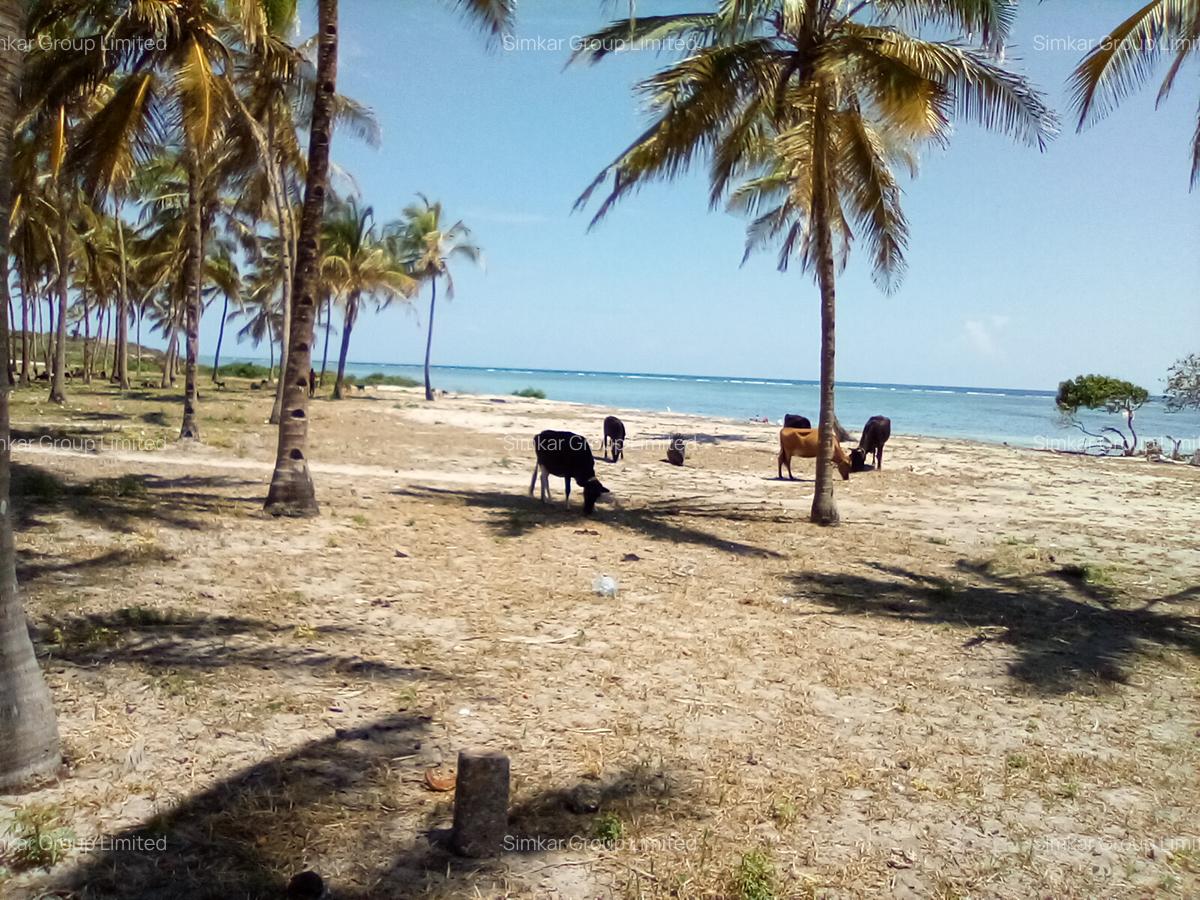 25 ac Land at Kikambala Beach - 6