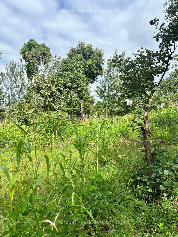2 ac Land at Karingani - 2