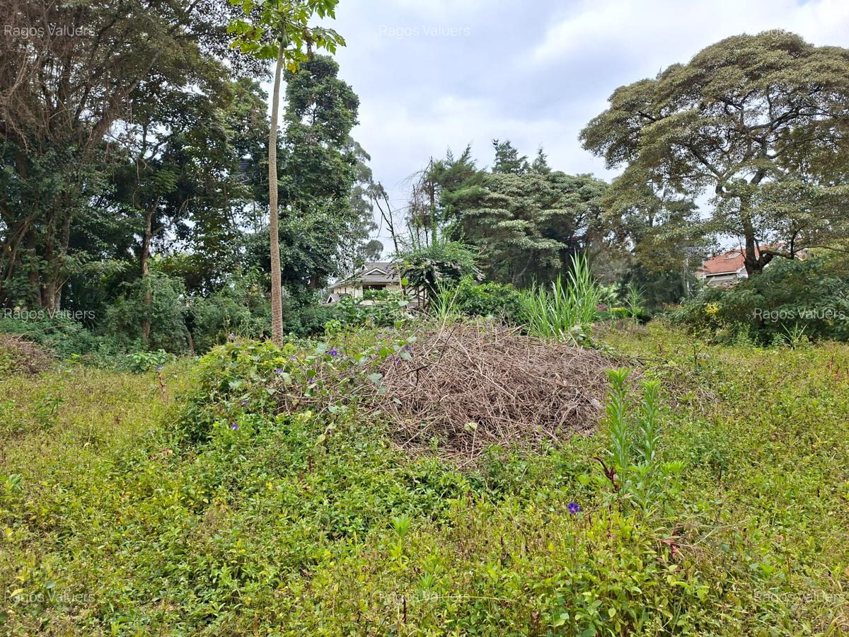 0.5 ac Land at Hillcrest Road - 2