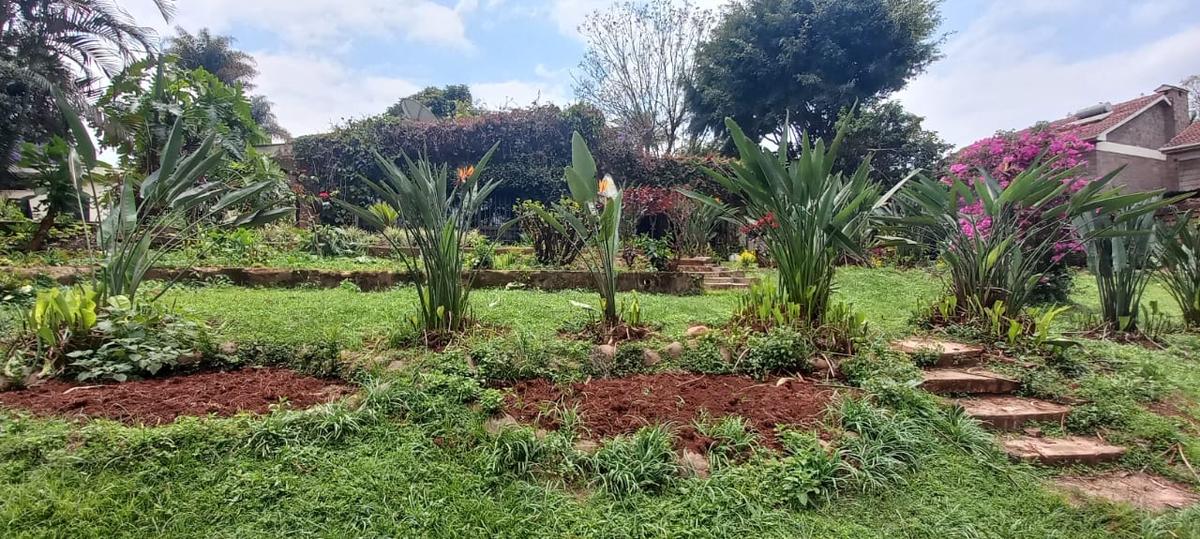 1.5 ac Land in Lavington - 10