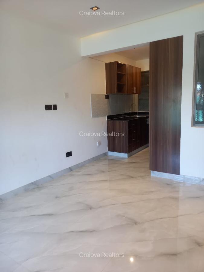 Studio Apartment with En Suite at Naivasha Road - 2