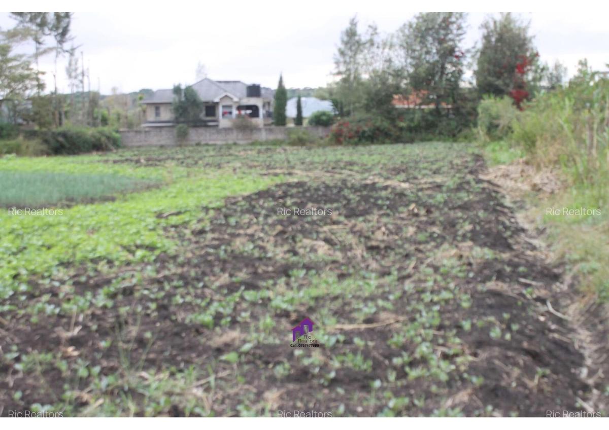 0.10 ha Land at Rimpa Road - 3