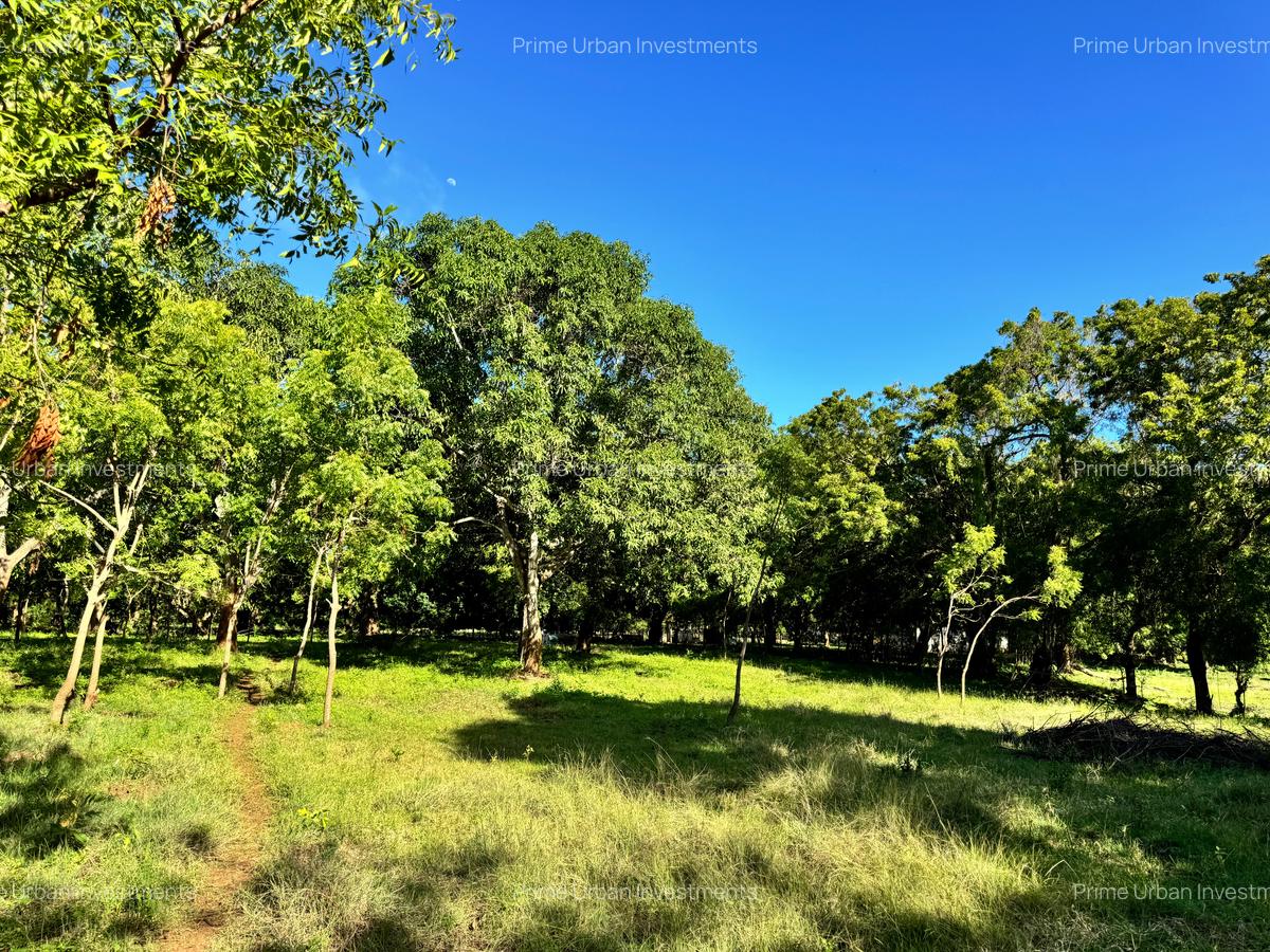 Land in Vipingo - 10