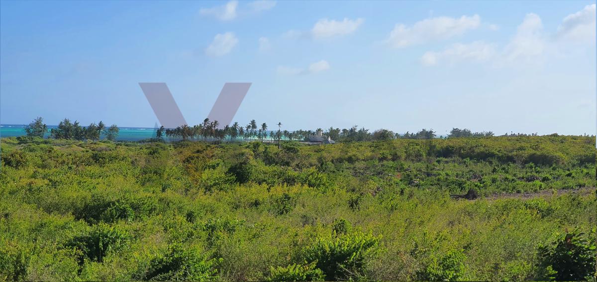 0.25 ac Land at Casaurina Watamu Road - 6