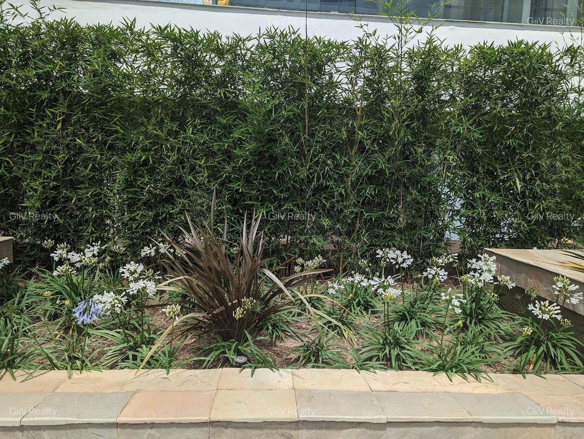 Furnished 1 Bed Apartment with En Suite in Riverside - 14