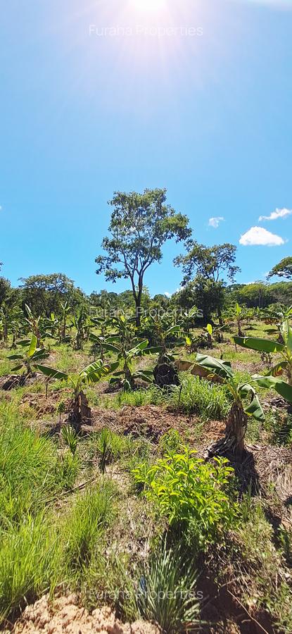 Land at Msambweni - 13