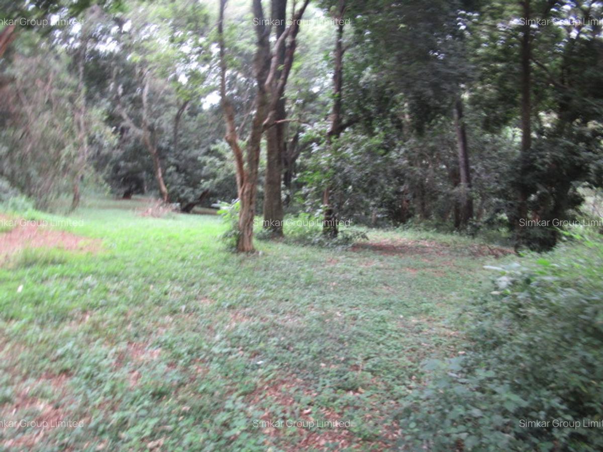 4 ac Land at Mushroom Gardens - 10