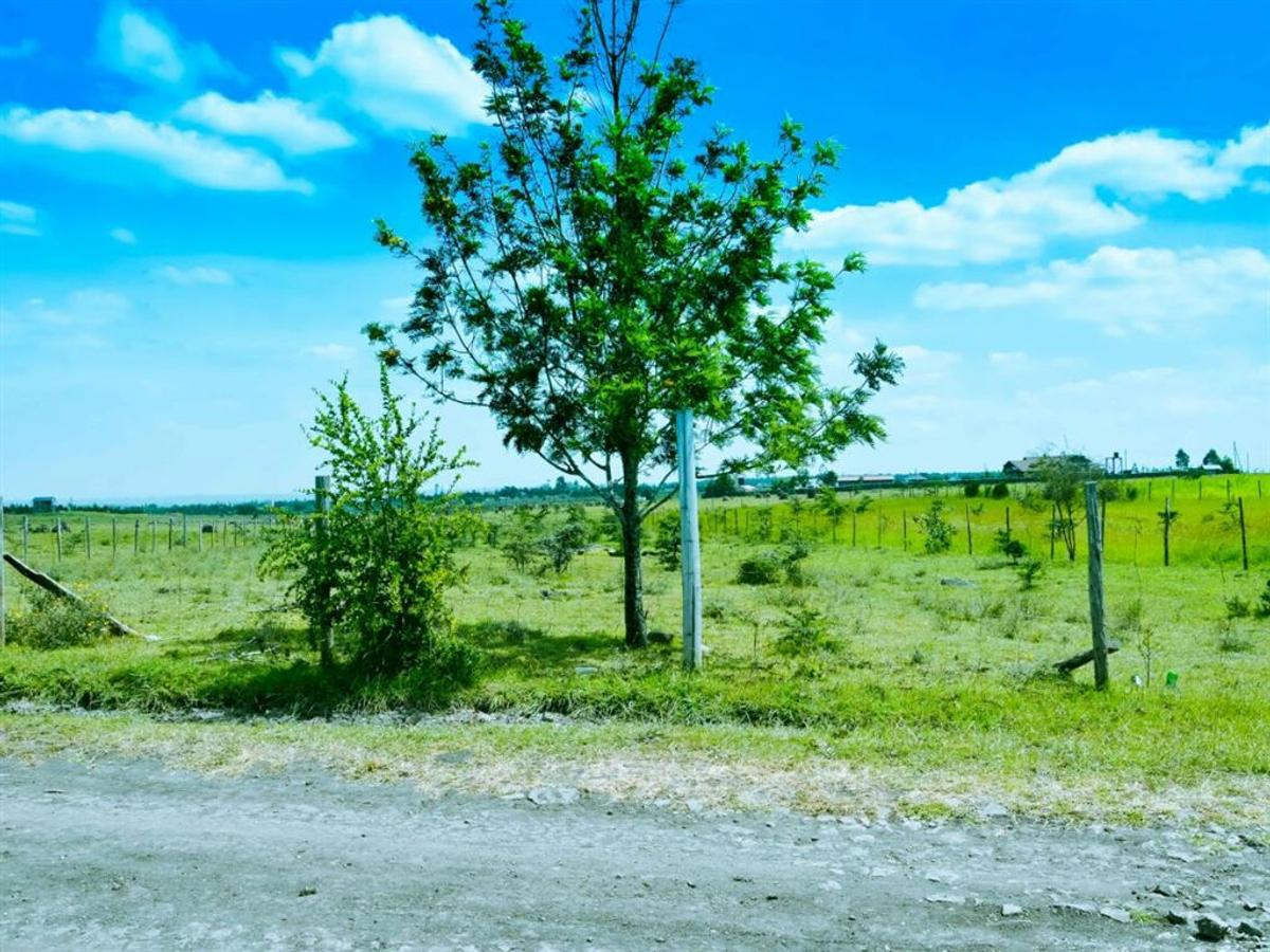 5,000 m² Residential Land at Tuala - 6