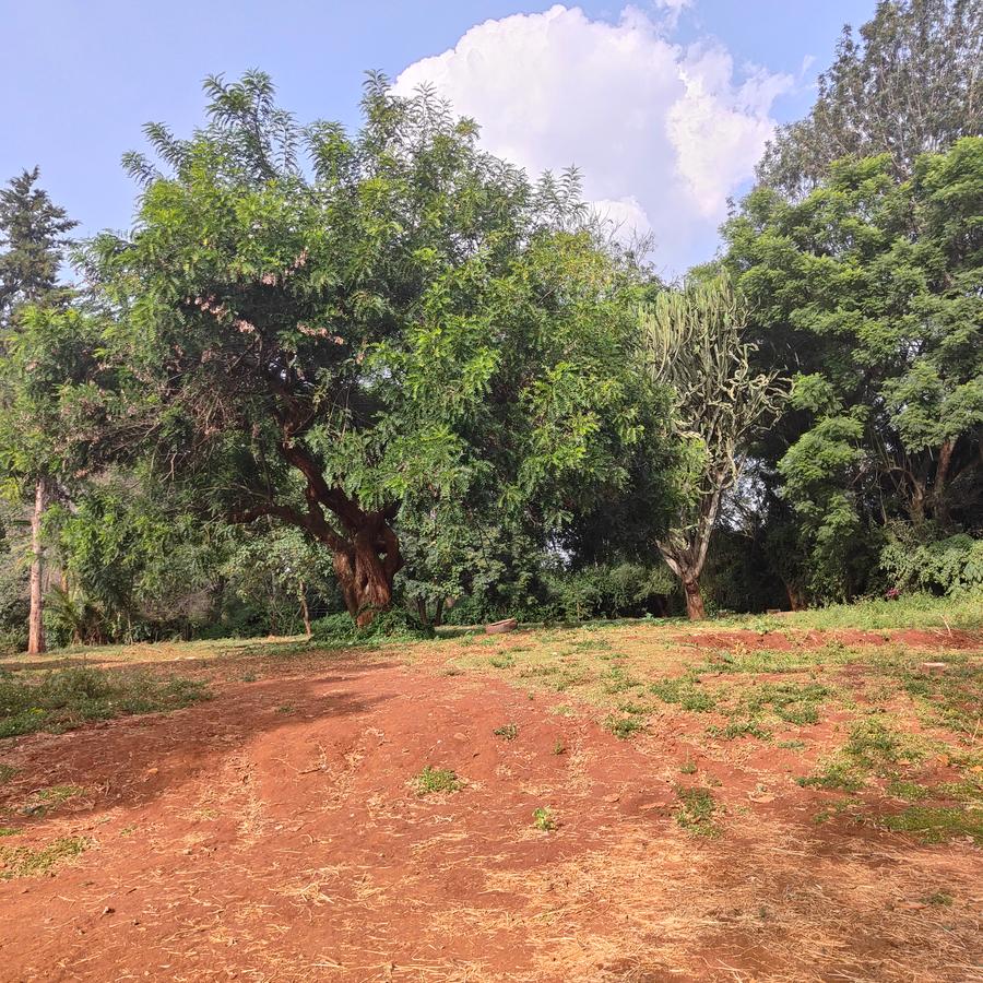 2.5 ac Residential Land at Old Kitisuru - 19