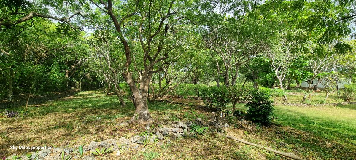 4.4 ac Land at Kuruwitu - 15