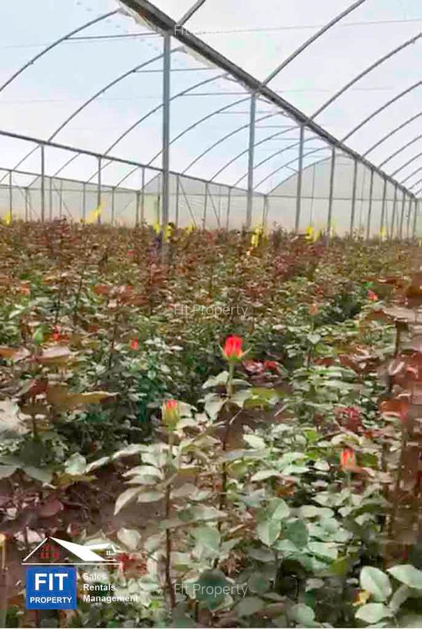 120 ac Land at Nyandarua County - 7