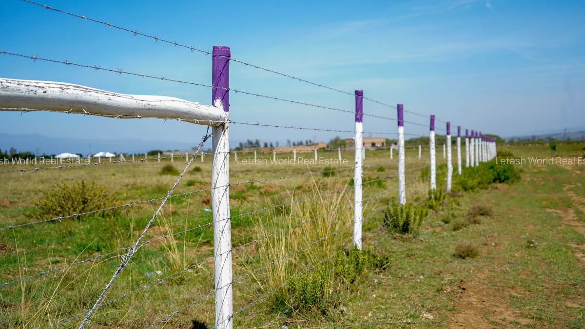 Residential Land in Naivasha - 6