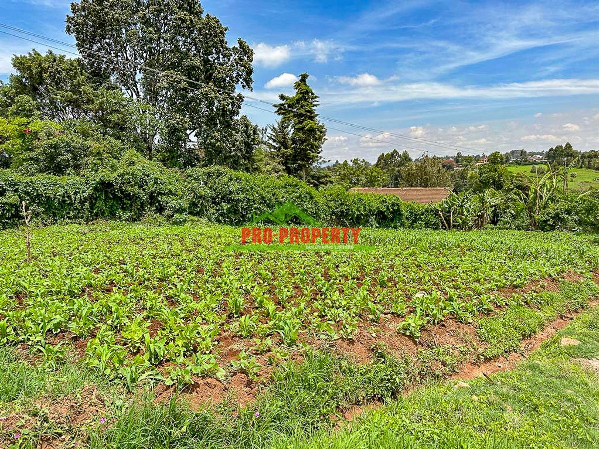 0.05 ha Commercial Land in Kikuyu Town - 10