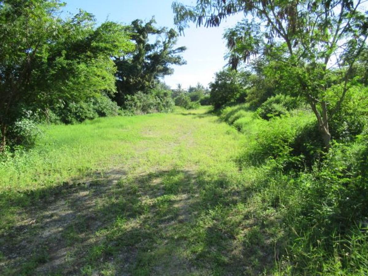 506 m² Residential Land at Malindi Road - 10