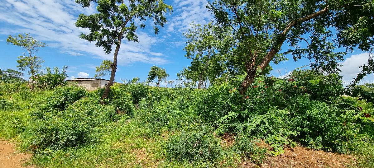 500 m² Land at Tezo - 11