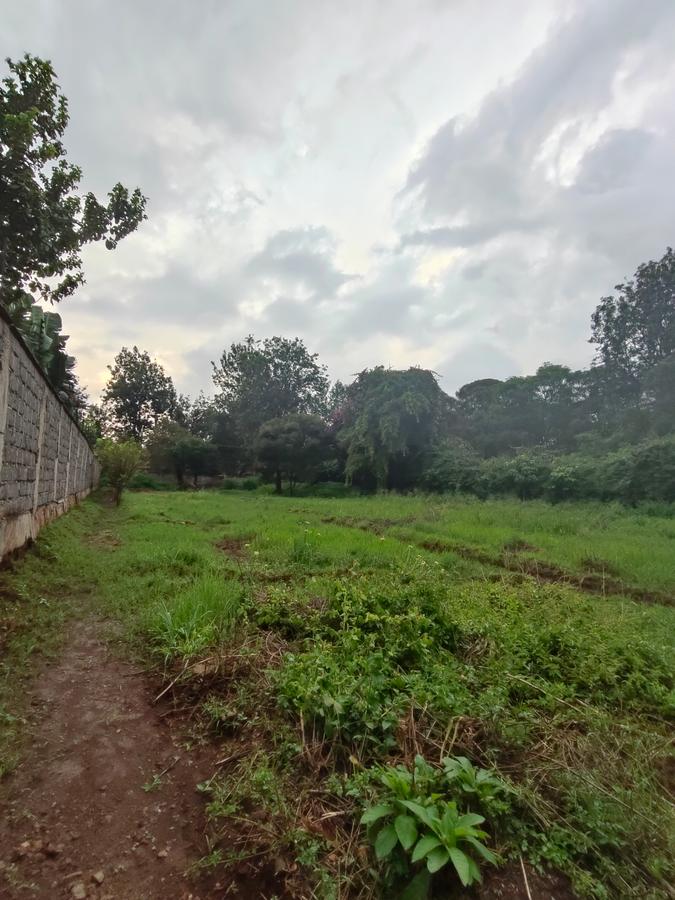 Residential Land at Ndege Road - 13