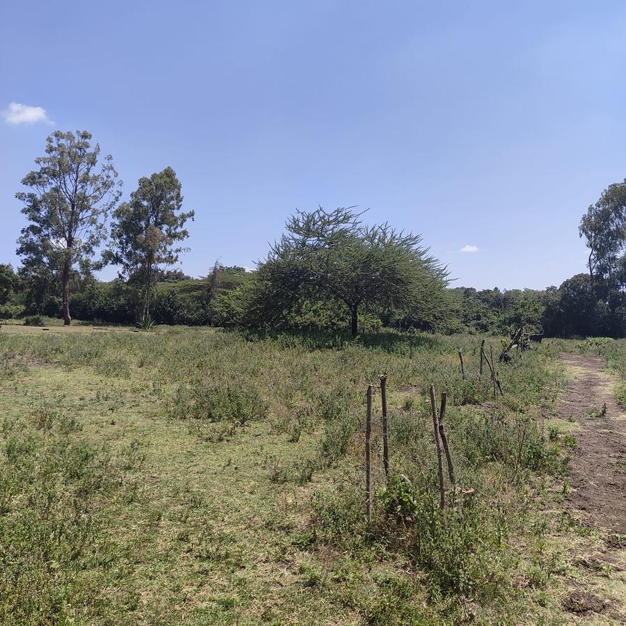 1 ac Land at Ndovu Road - 1