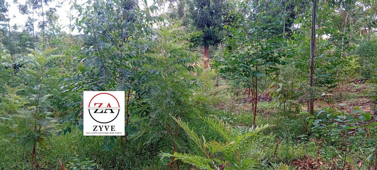 0.125 ac Land at Kasphat Estate - 6