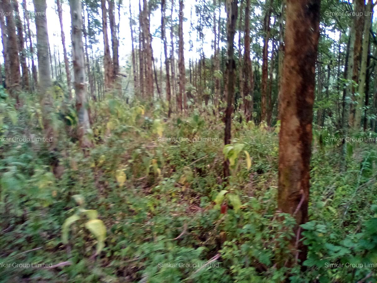 7 ac Land at Kahara Rd - 5