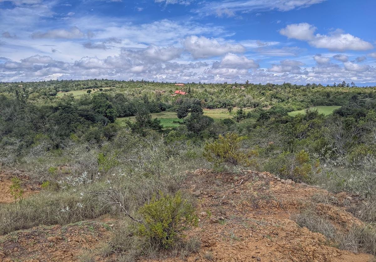 10 ac Land in Nanyuki - 1