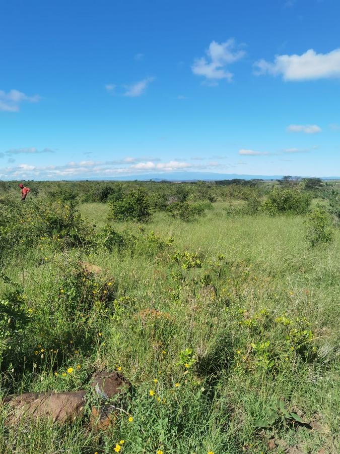 57 ac Land in Nanyuki - 9