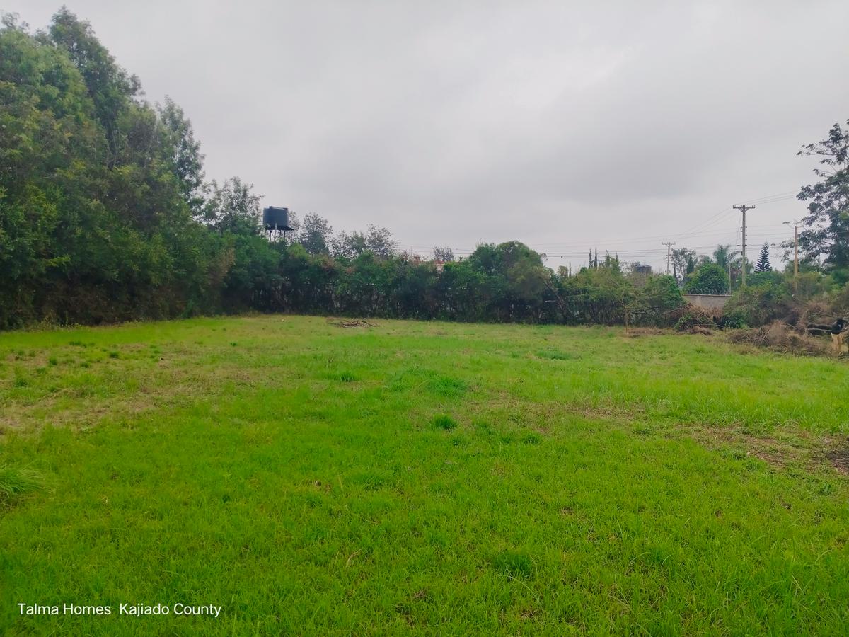 0.5 ac Land at Nkoroi - 5