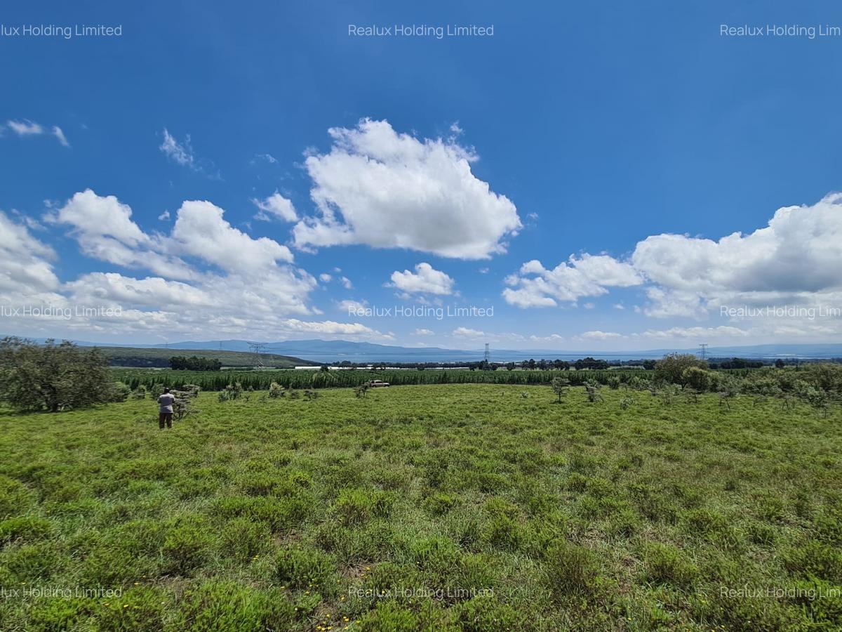 Land in Naivasha - 6