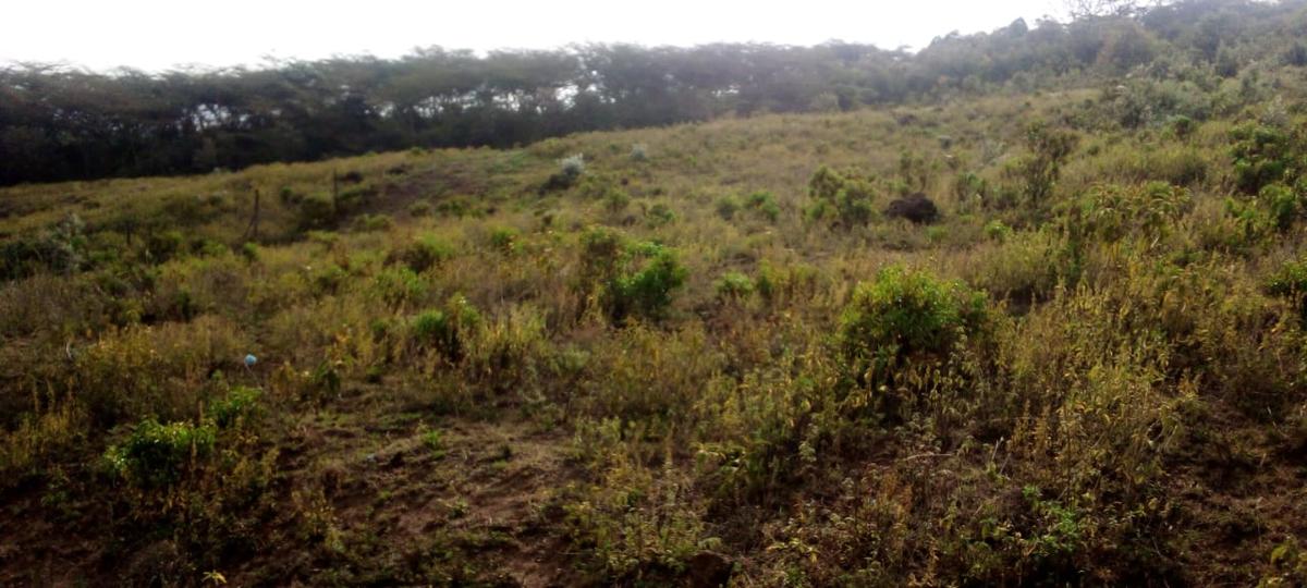 1 ac Land at Mai Mahiu - 7