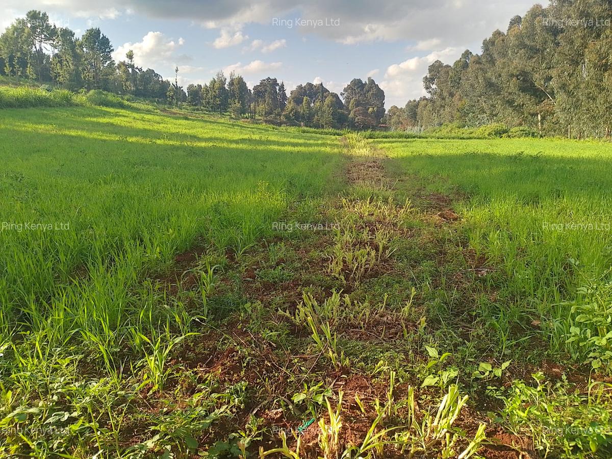 Land at Kibirichia - 17