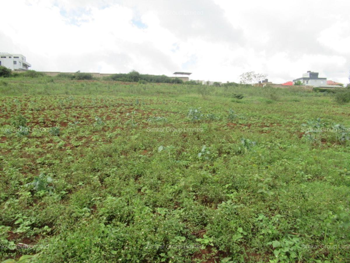 4.5 ac Land at Kibiko - 3