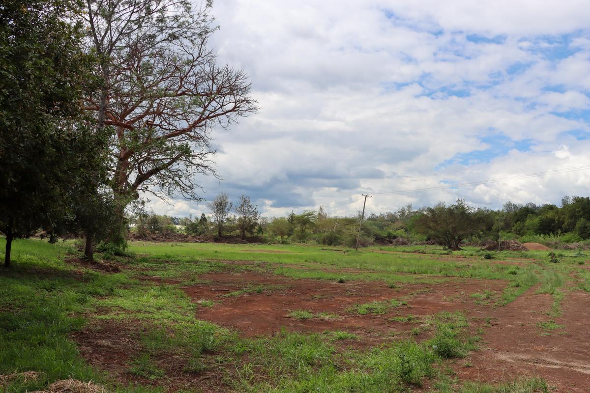 0.125 ac Residential Land at Gatanga Road - 6