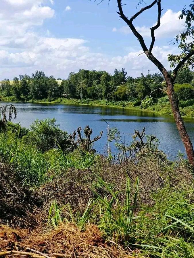 50 ft² Residential Land at Juja - 19