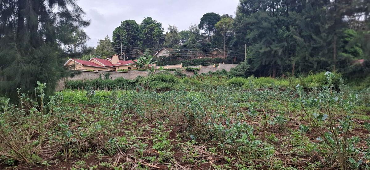 0.5 ac Land in Ngong - 7