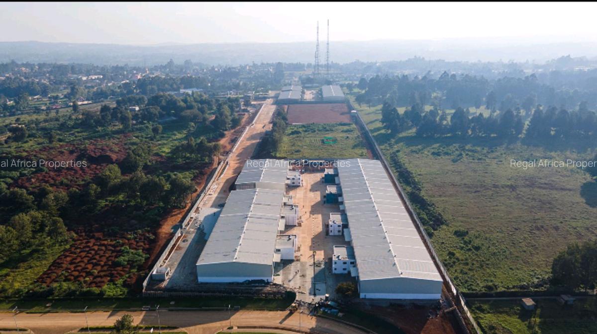 10,459 m² Warehouse with Backup Generator at Tilisi - 5