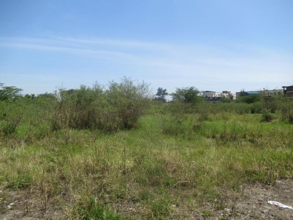 23,796 m² Commercial Land at Nyasa Road - 11