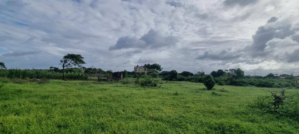 2.5 ac Land at Kikambala - 12