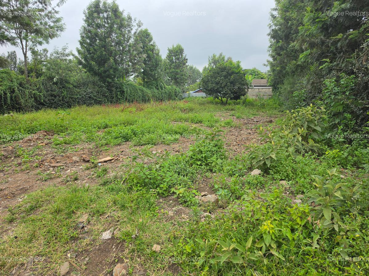 Land at Matasia - 1