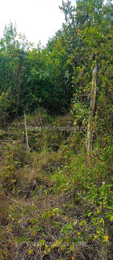 10,000 ft² Land at Marura-Nturukuma - 7